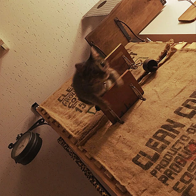 Mさんの実例写真