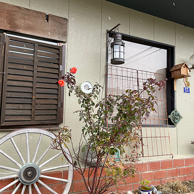 shin0719さんの部屋