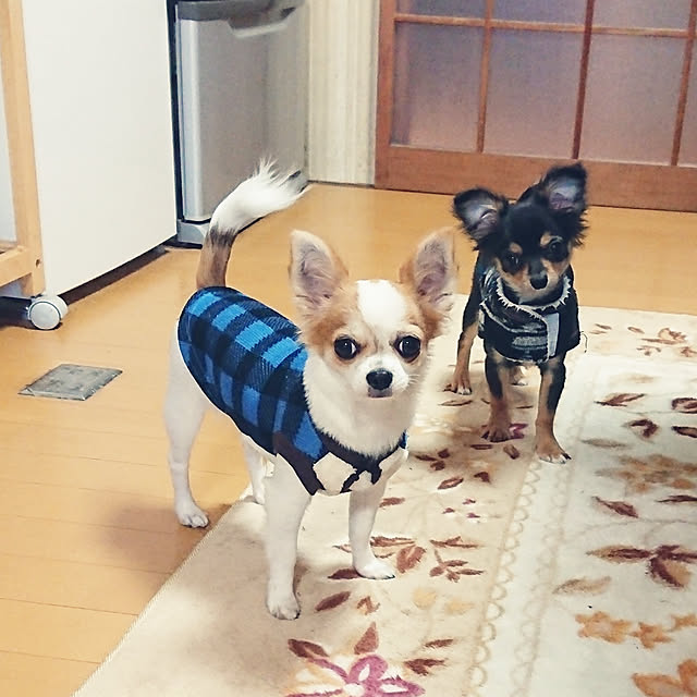 hiro-yさんの実例写真