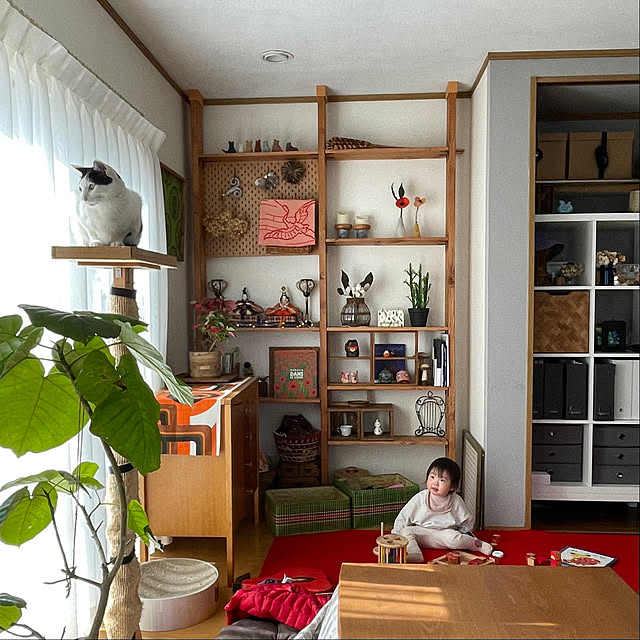 nobikoさんの部屋