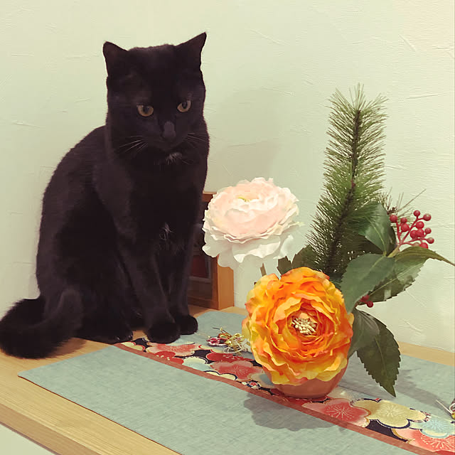 syrnuu946さんの実例写真