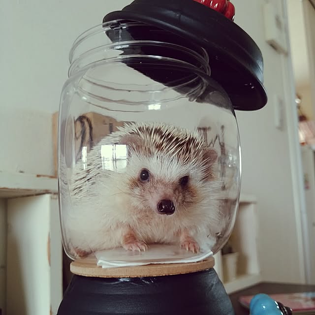 kuruさんの実例写真