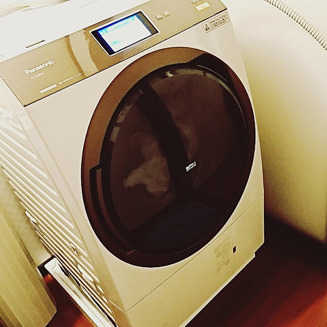 NA-VX9800L-W パナソニック 11.0kg ドラム式洗濯乾燥機【左開き