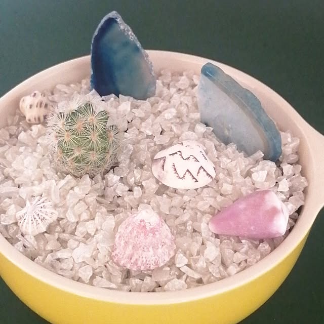 yokkoさんの部屋