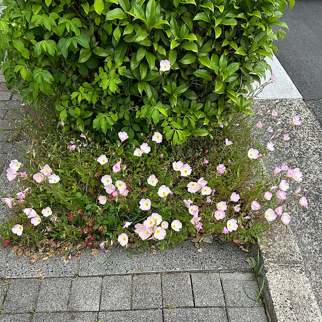 fumikoiさんの部屋