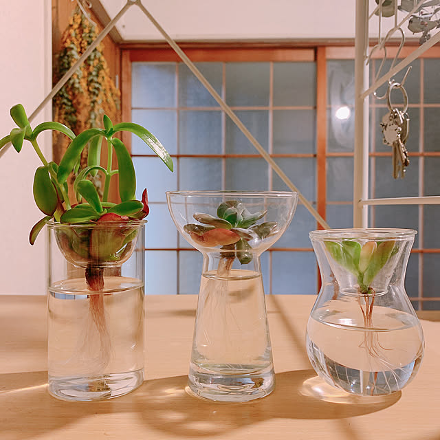 nao.roomさんの実例写真