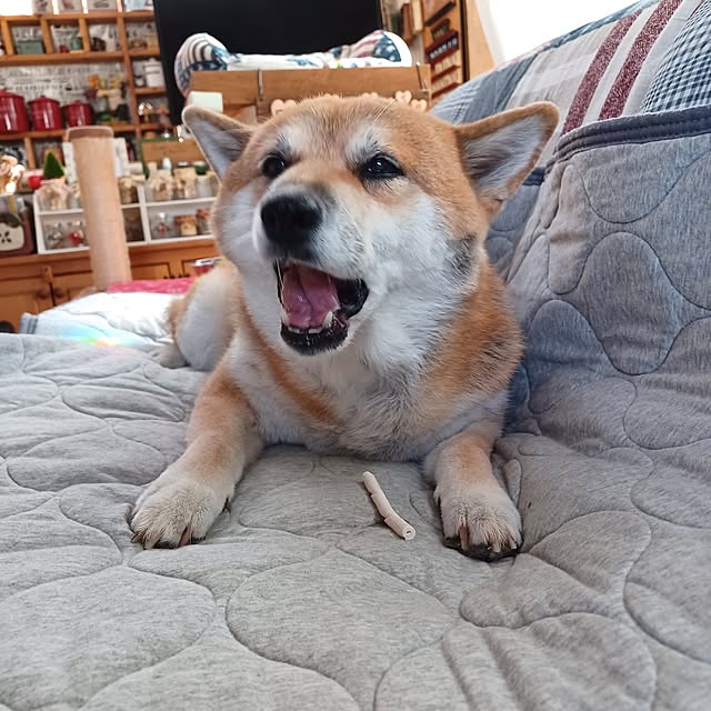 nanaさんの部屋