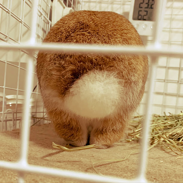 takeさんの実例写真