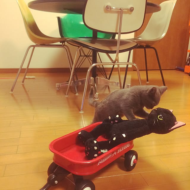 Shojiさんの実例写真
