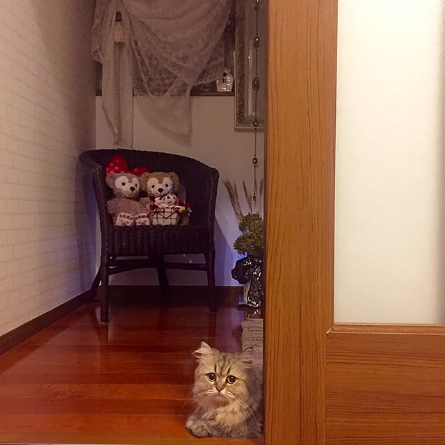 butachanさんの実例写真