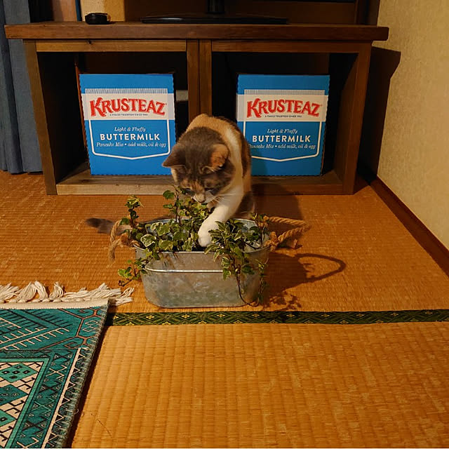 fukuさんの実例写真