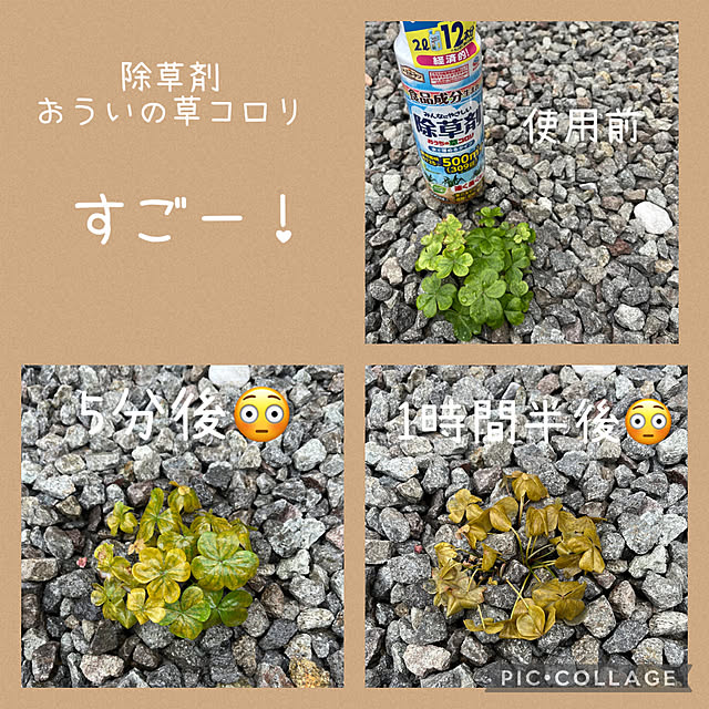 izuさんの部屋