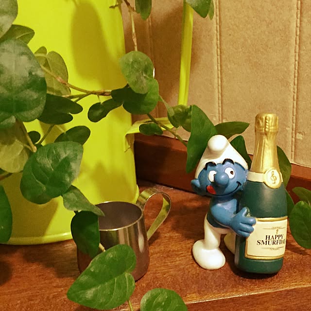 nicoさんの実例写真