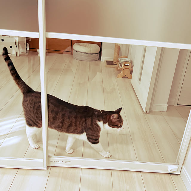 koala._.さんの部屋