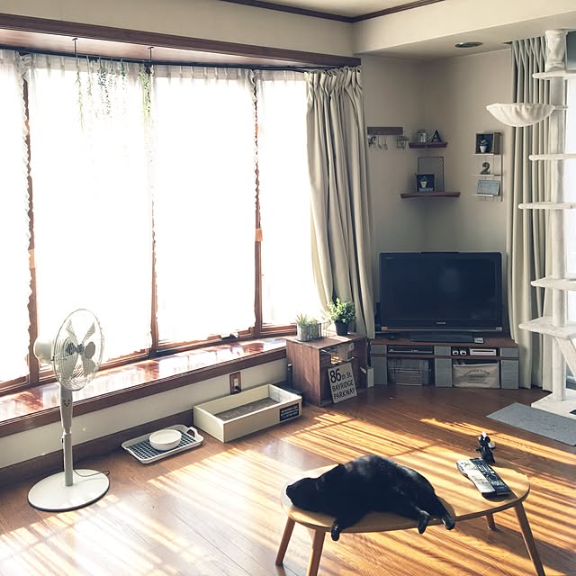 mahi1101さんの実例写真