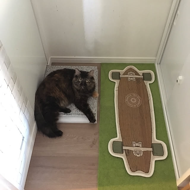 mikomaruさんの実例写真