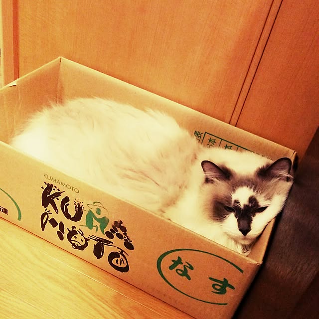 mizu.さんの実例写真