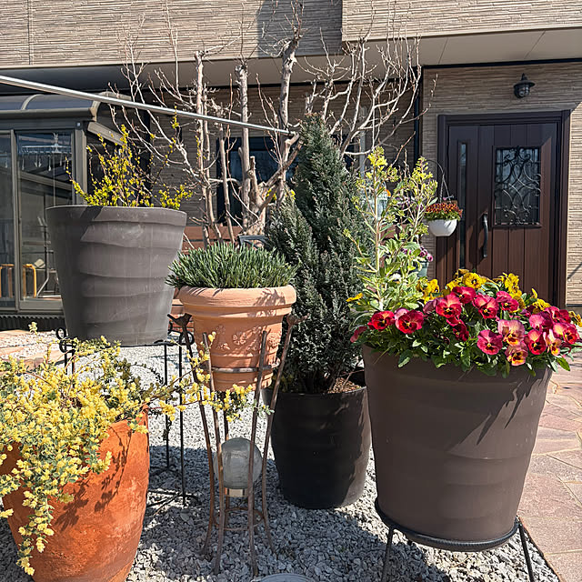 ronronさんの部屋