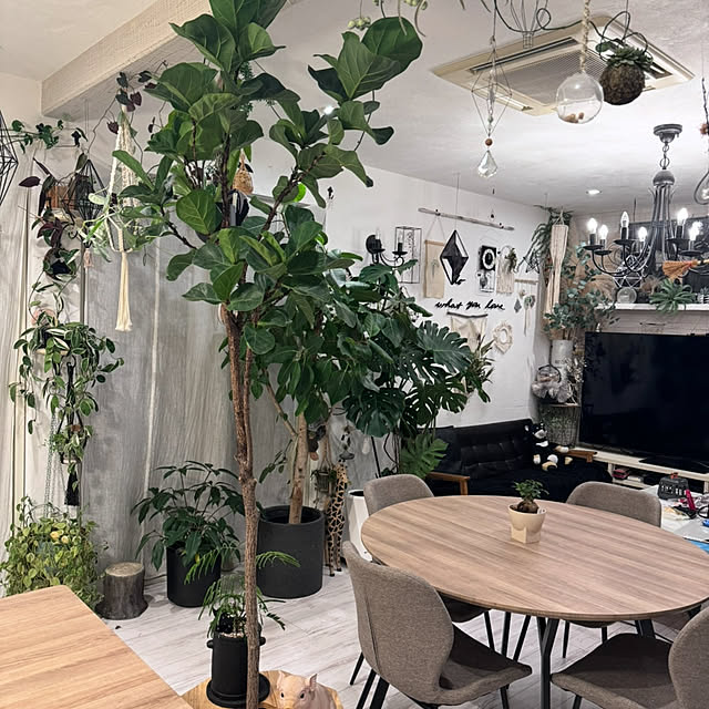 usakoさんの部屋