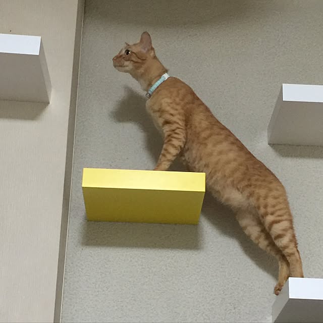 mtkさんの実例写真