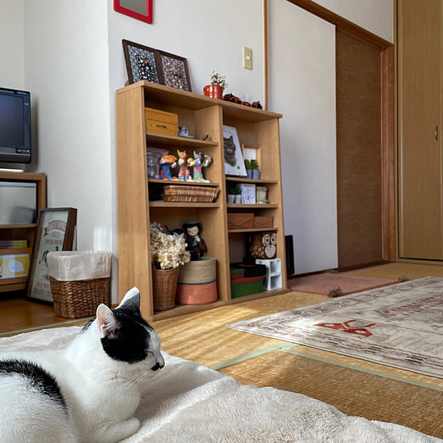 nobikoさんの実例写真