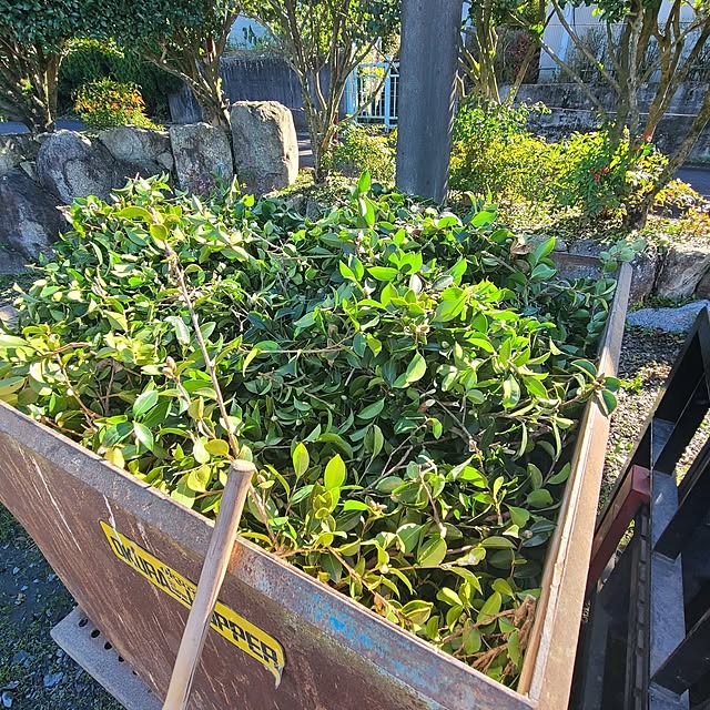 Rubiconさんの部屋