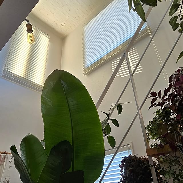 nonbiri_house_さんの部屋