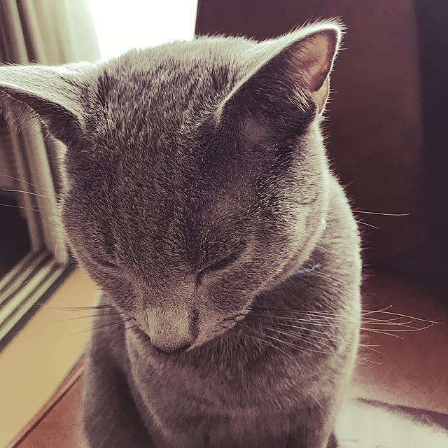 chiyaさんの実例写真