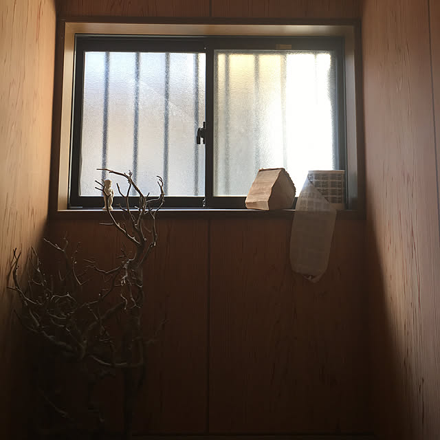 anri38さんの実例写真
