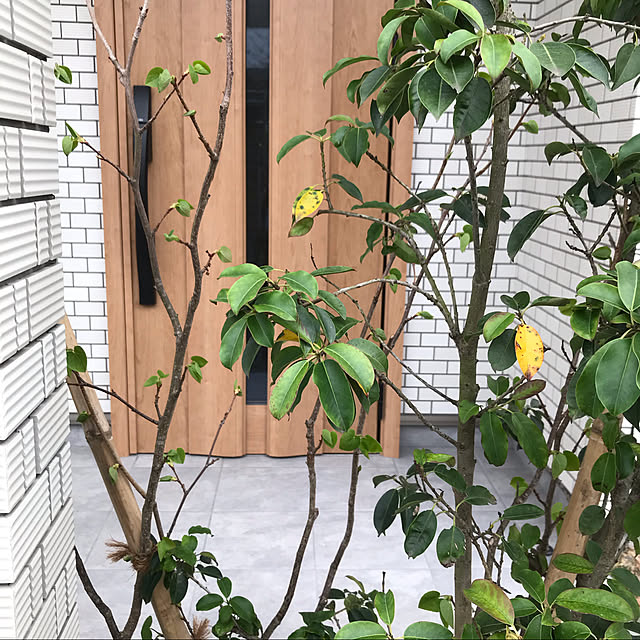 umingt330さんの実例写真