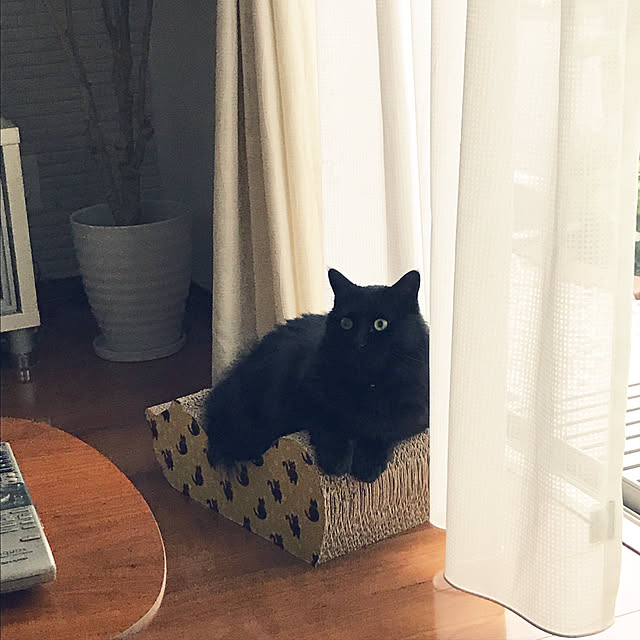 minamiさんの実例写真