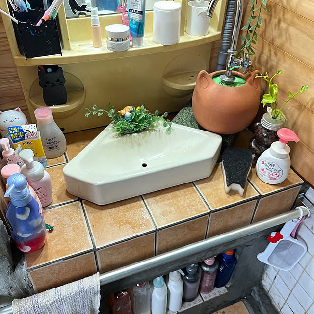 実例写真