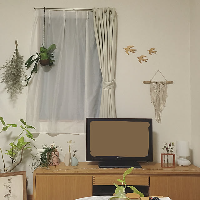 壁/天井のインテリア実例 - 2019-11-03 23:28:50