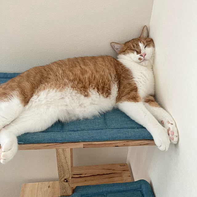 mako2yaさんの実例写真