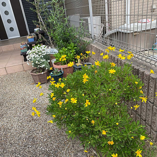 alchoさんの部屋
