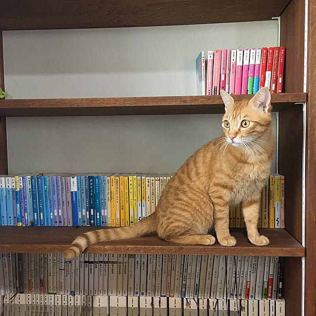 hre1110.1538さんの実例写真