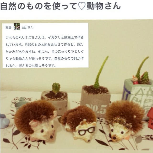 seiさんの実例写真