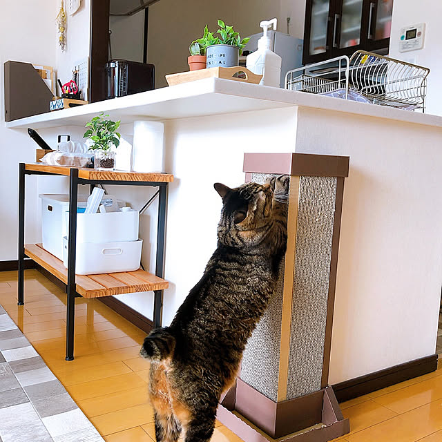 asaさんの実例写真
