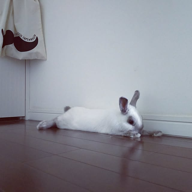makiさんの実例写真
