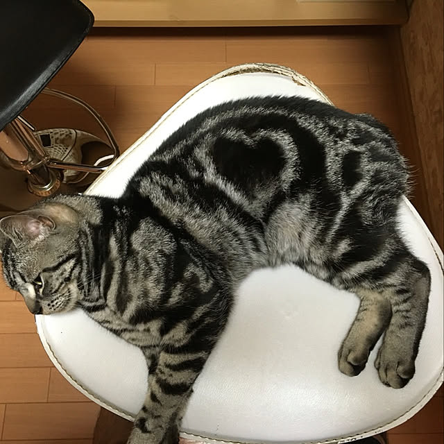 Ryoさんの実例写真