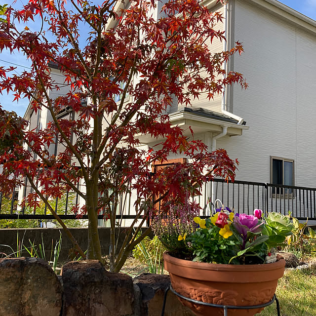 kirakirahoshiさんの実例写真