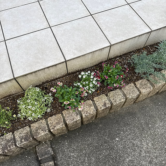 natsuさんの実例写真