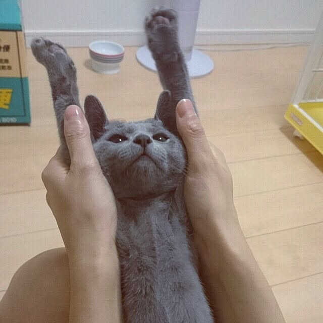 maripoさんの実例写真