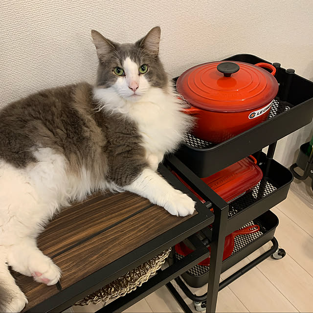 leoさんの実例写真