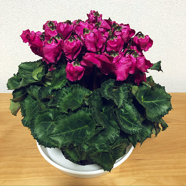 hanachanさんの実例写真