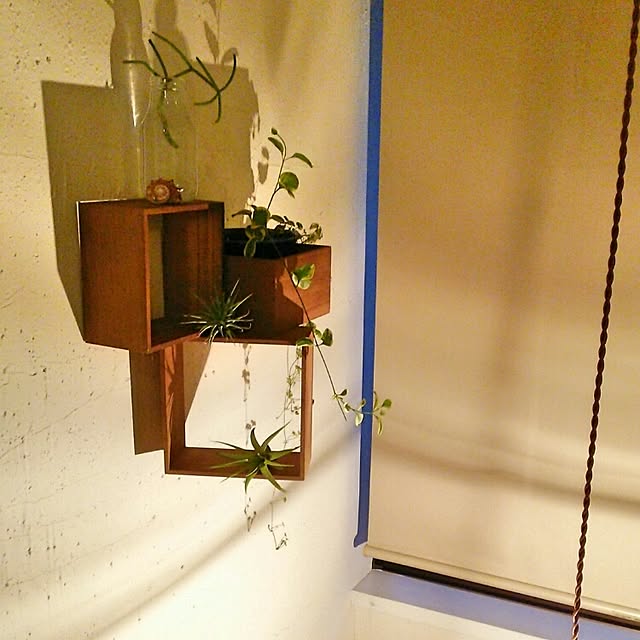 kaorinさんの実例写真