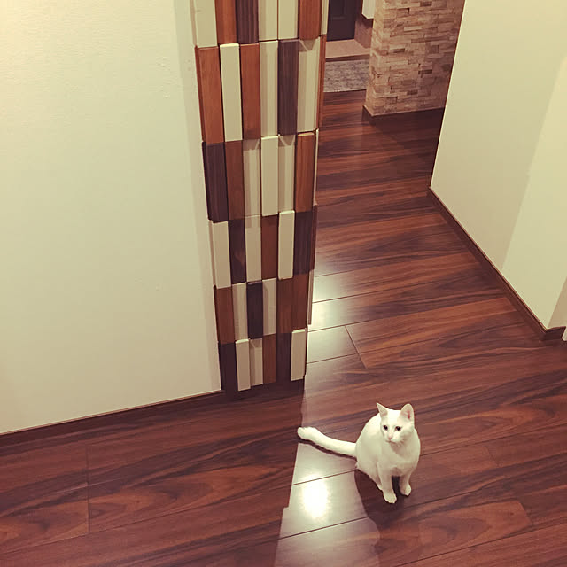 oniyomeさんの実例写真