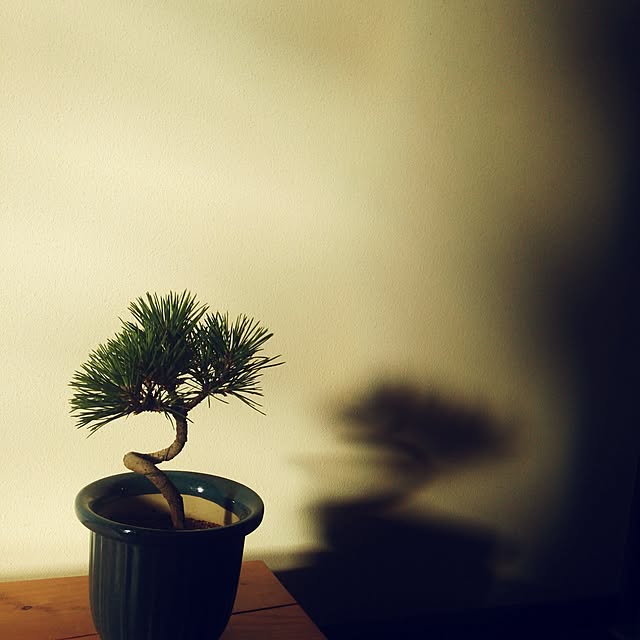 poemwalkさんの実例写真
