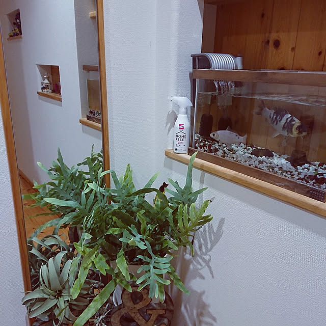 skhrさんの実例写真