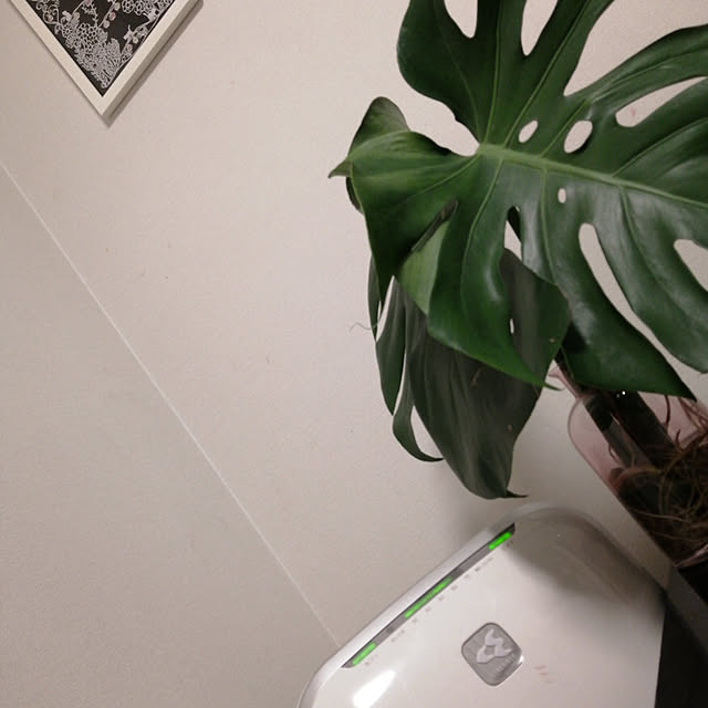 chacoさんの実例写真